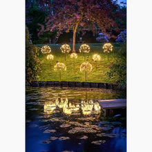 Solar Dandelion 96 LED Light - by LightStyle London
